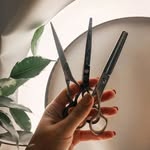 Minerva Solano - @mine_ladinastia - Instagram