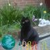 Minerva Stanley - Facebook