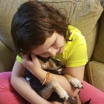 Minerva Steele - @minithemousedog - Instagram