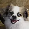 minervasuarez85 - @minervasuarez85 - TikTok