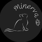 Minerva Sweet 22 - @minervasweet22 - Instagram