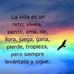 Minerva Terrero - Facebook