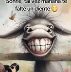 Urban Minervas - Facebook
