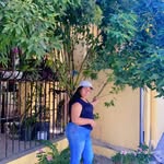 Minerva Valerio - @minerva.valerio.1610 - Instagram