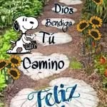 Minerva Vazquez - @minerva.vazquez.167 - Instagram