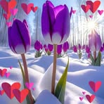 Minerva Vega - Facebook