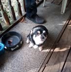 Edith Watts Miner - Facebook
