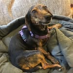 Minerva - @minerva_goes_west - Instagram