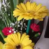 Minerva Zepeda - @minerva.zepeda5 - TikTok