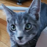 Walker - @mingwalker2021 - Instagram