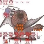 萧龙 - @dongminghao11 - Instagram