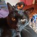 Mingo Rodriguez - Facebook