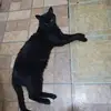 Mingo Rodriguez - @mingo.rodriguez18 - TikTok