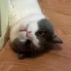 mingyue - @mingyue.liu - TikTok