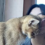 Phạm Minh Trang - @minhchelovestheworld - Instagram