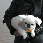 Minha Park - Facebook