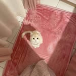 Park Minha - @minha.park - Instagram