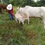 Misael Jimenez - Facebook