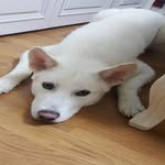 happy minju - @minju_happy1222 - Instagram