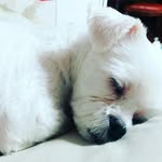 Minju Kwon - @muzikgirl - Instagram