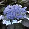 서민기맘 - @seominkimom - TikTok