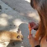 MinLing Yu - @yu_a_min - Instagram