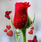 Minna Thomas - Facebook
