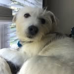 Minnie Abel - @minniethepooh32 - Instagram