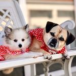 Minnie Antónia & Shanti Alberta - @minnieantonia.shantialberta - Instagram