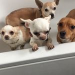 ArnoldMinnieEricDaveNelly - @arnoldminnieericdavenelly - Instagram