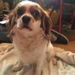 @minnie_lees_arnold - Instagram