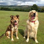 Blake & Minnie - @blake_minnie - Instagram