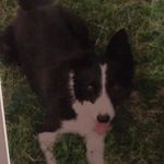 Minnie_Coco_Blake - @minnie_coco_blake - Instagram