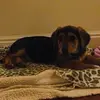 @𝓜𝓲𝓷"𝓣𝓲𝓶 - @minnieblake1234567891011 - TikTok