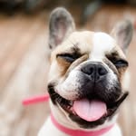 Minnie Bray - @theycallmeminniebray - Instagram