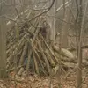 Carter Minnie - @carter.minnie - TikTok