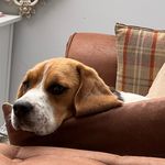 Minnie and Wilma carter - @minnie_and_wilma - Instagram