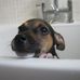Minnie Cartwright - Facebook
