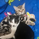 𝑴𝒊𝒏𝒏𝒊𝒆 𝒙 𝑪𝒉𝒂𝒔𝒆𝒕𝒆𝒓 - @minnie_chaseter - Instagram