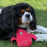 Minnie ❤️ - @minniecherry_ - Instagram