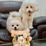 Minnie 🐭 & Cherry 🍒 - @cherry_minniecutiepie - Instagram