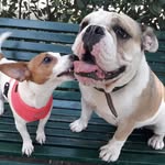 Minnie Cherry Pie - @minniecherrypie - Instagram