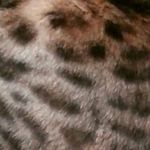 Minnie Chou - @minnie_chou1 - Instagram