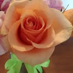 Minnie Crane - @minnie.crane.798 - Instagram