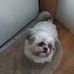 Minnie Crane - Facebook