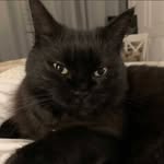 Minnie Doyle - @minnie_does_stuff - Instagram