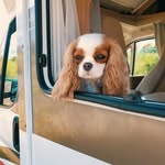 Minnie Maus - @diemarryfaireminnie - Instagram