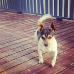 minnie😍 - @minnie.fairfull - Instagram