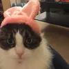 Minnie Fox - @minniefox - TikTok