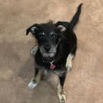 Minnie Fox - @minnie_stilts - Instagram
